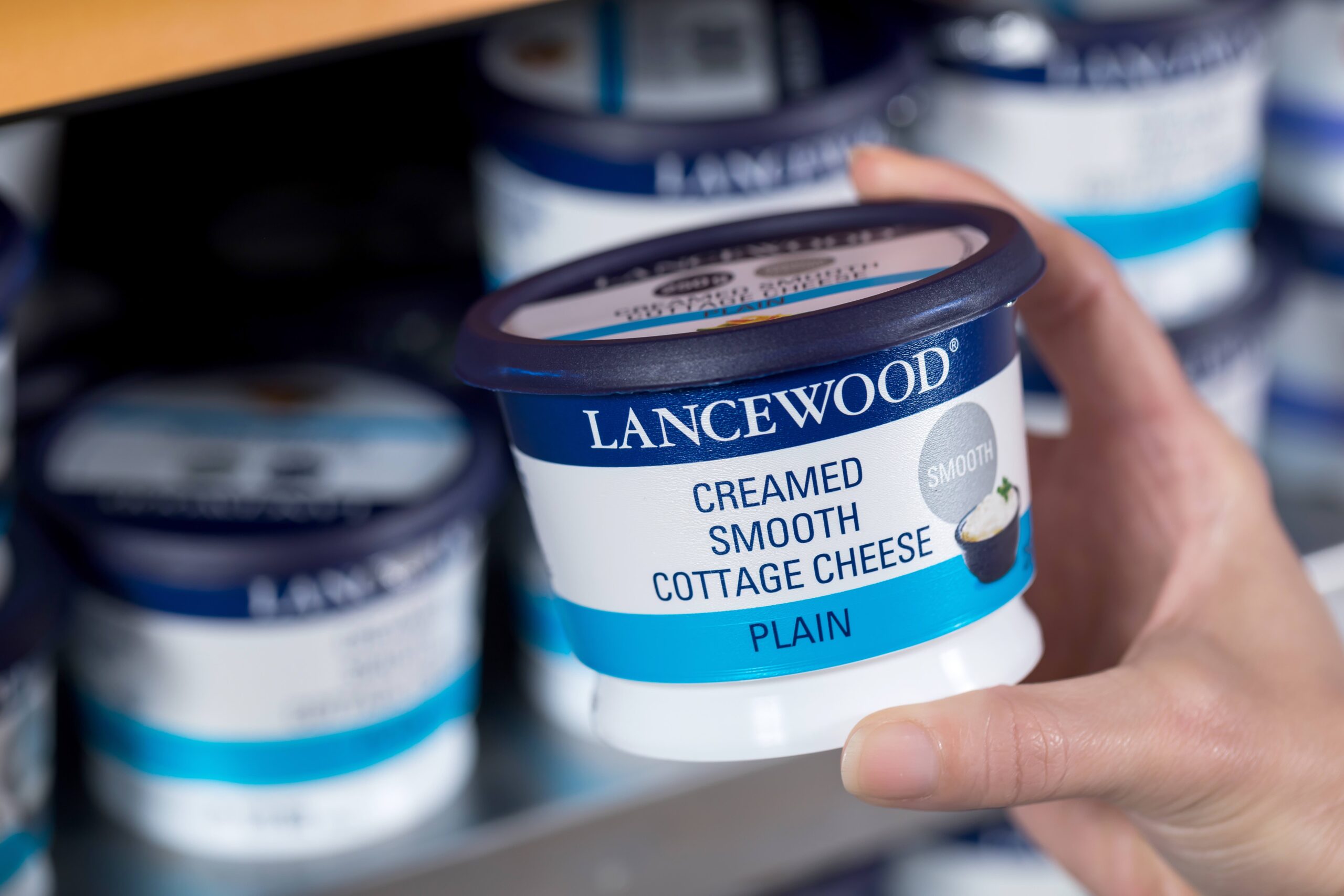Lancewood Cottage Cheese